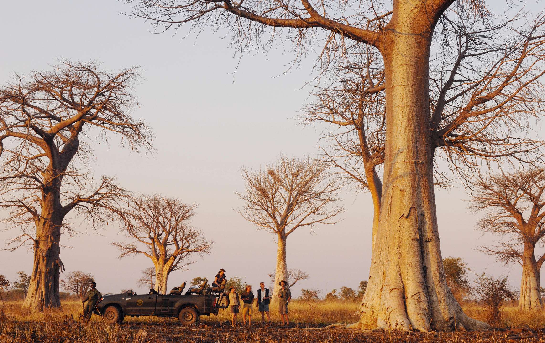 Kaingo Camp thumbnail 9